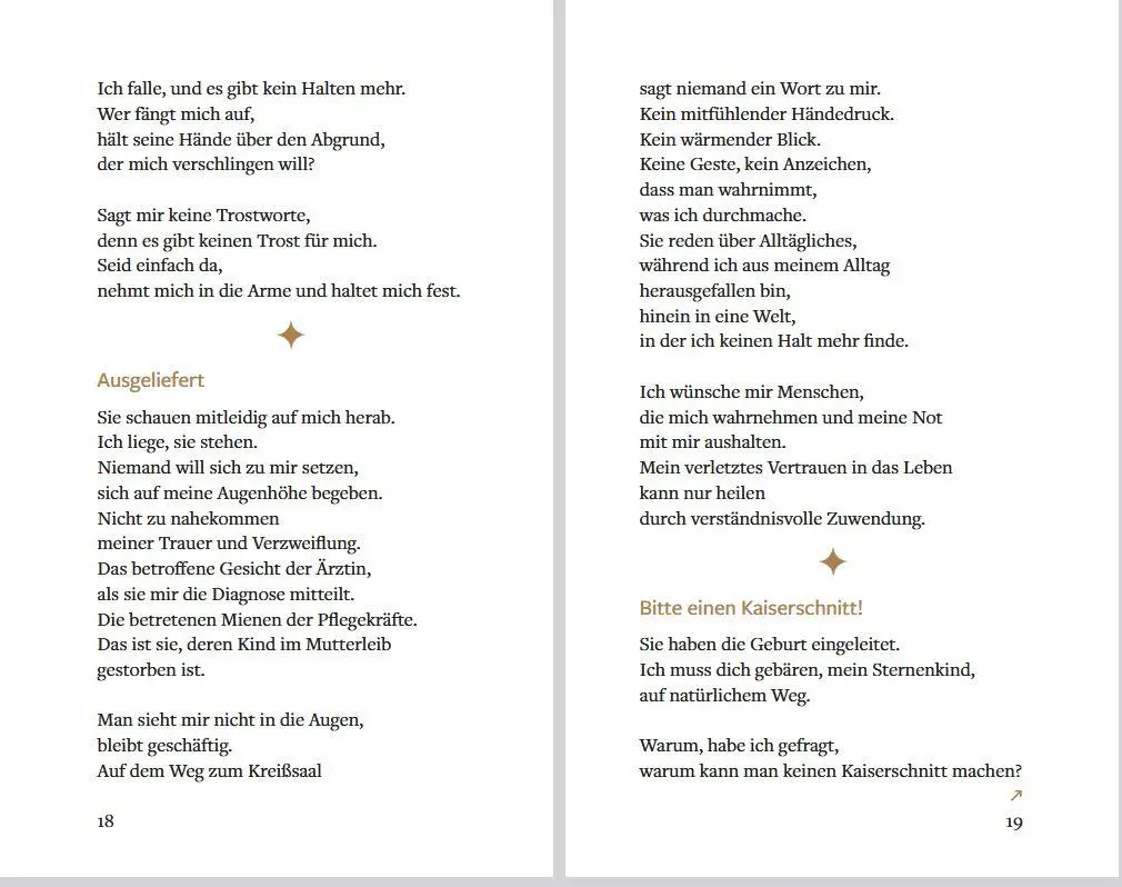 Bild: 9783843616430 | Ein Stern ist in mein Herz gefallen | Antje Wenzel-Kassmer | Buch