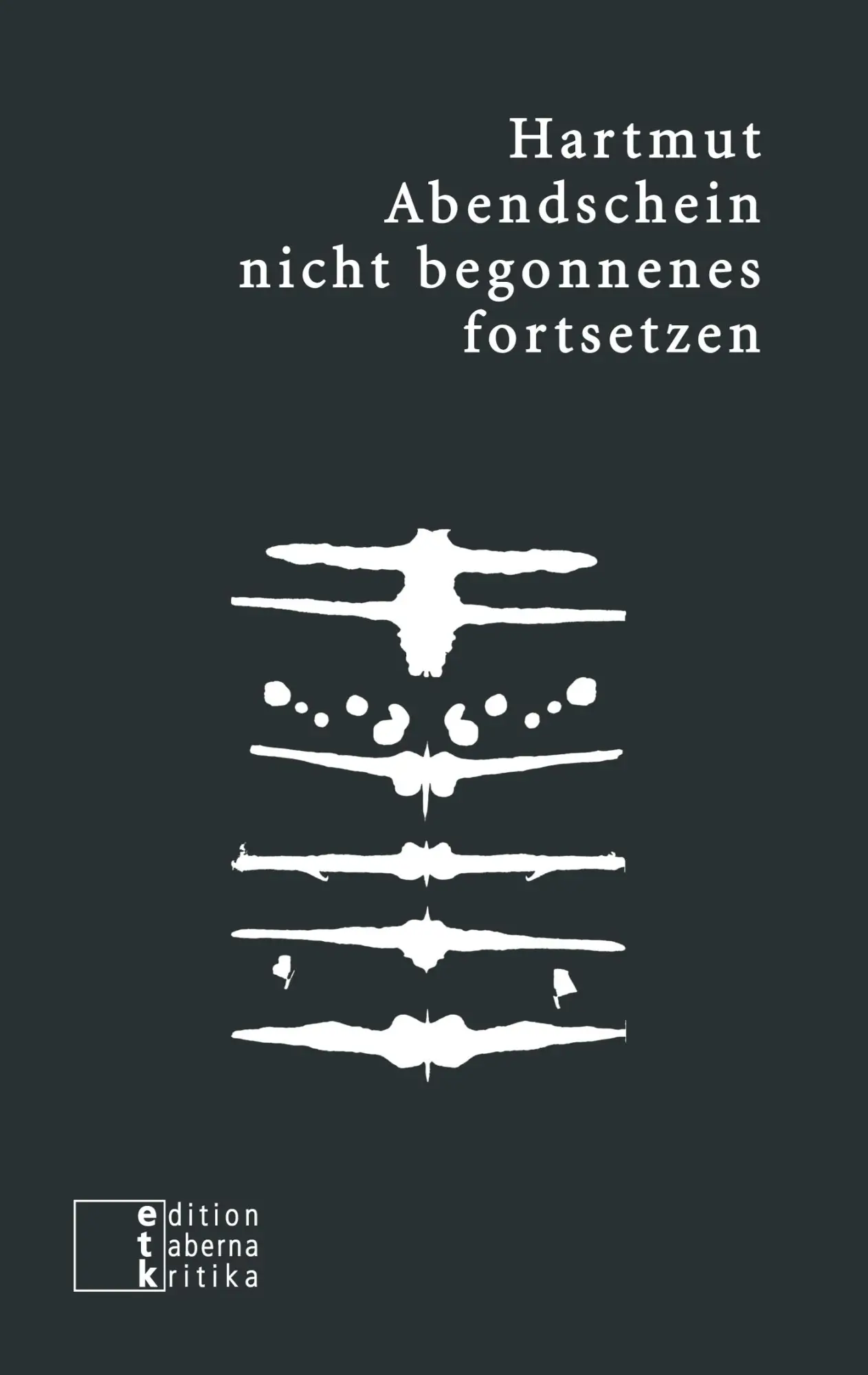 Cover: 9783905846430 | nicht begonnenes fortsetzen | Text, Kontur, Schatten | Abendschein
