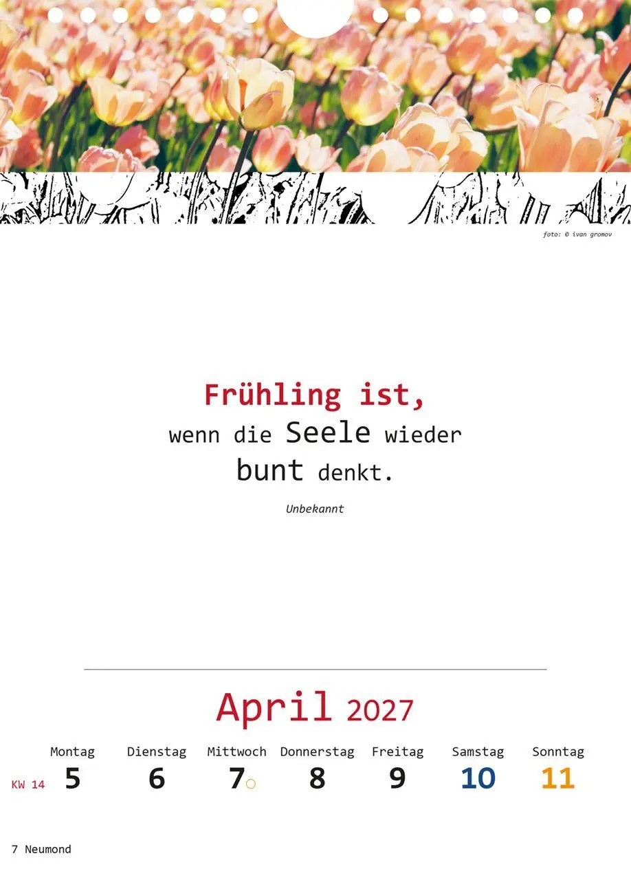 Bild: 9783948276430 | Ich-Kalender 2027 | Kalender | Spiralbindung, SPIRALB | 54 S. | 2027