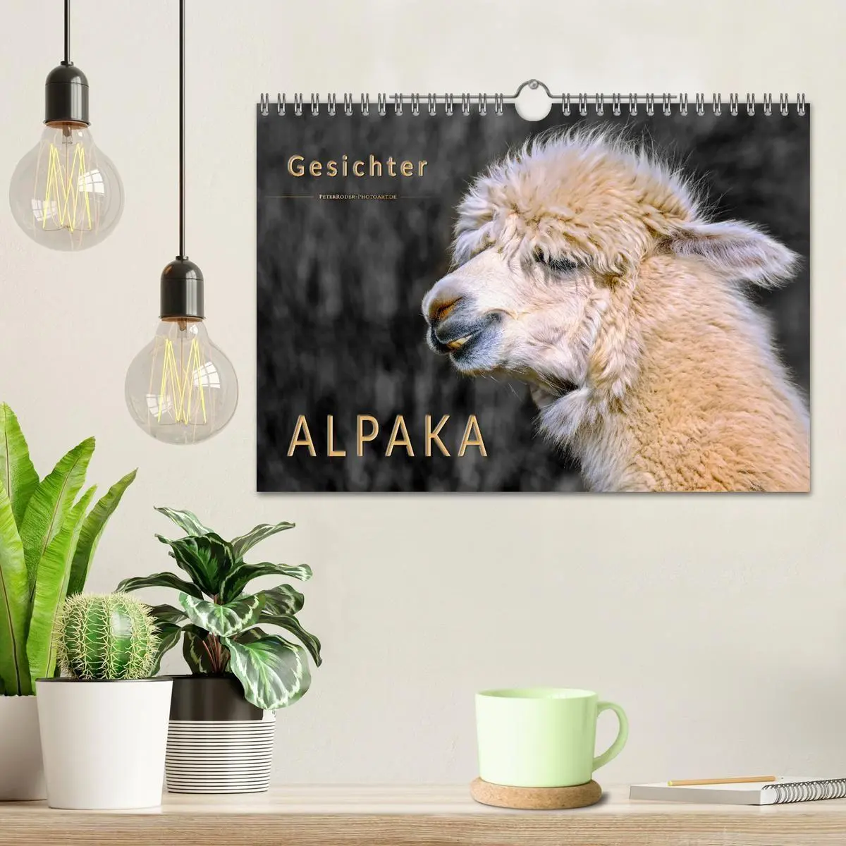 Bild: 9783569786530 | Alpaka Gesichter (Wandkalender 2027 DIN A4 quer), CALVENDO...