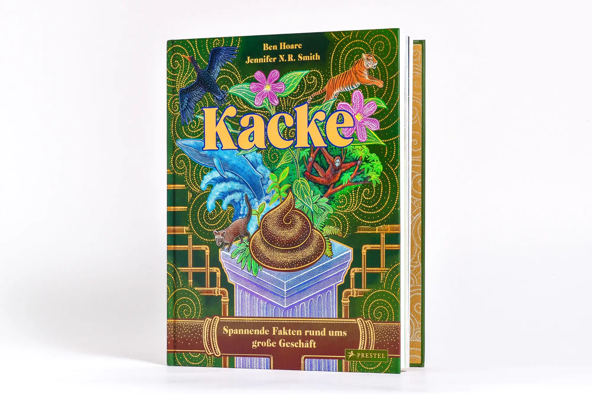 Bild: 9783791376530 | Kacke | Ein Sachbilderbuch für Kinder ab 8 Jahren | Ben Hoare (u. a.)