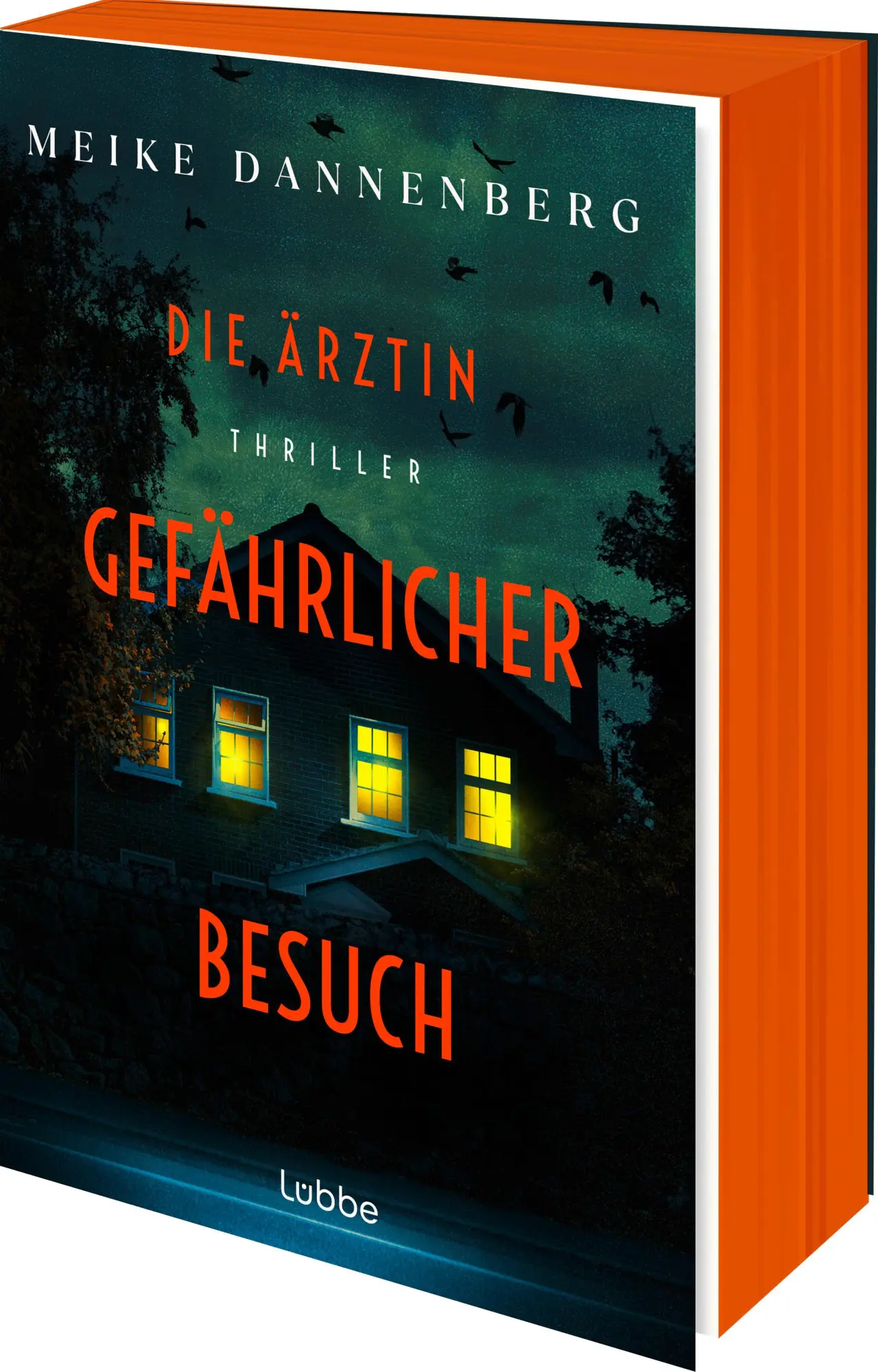 Cover: 9783404196630 | Die Ärztin - Gefährlicher Besuch | Meike Dannenberg | Taschenbuch