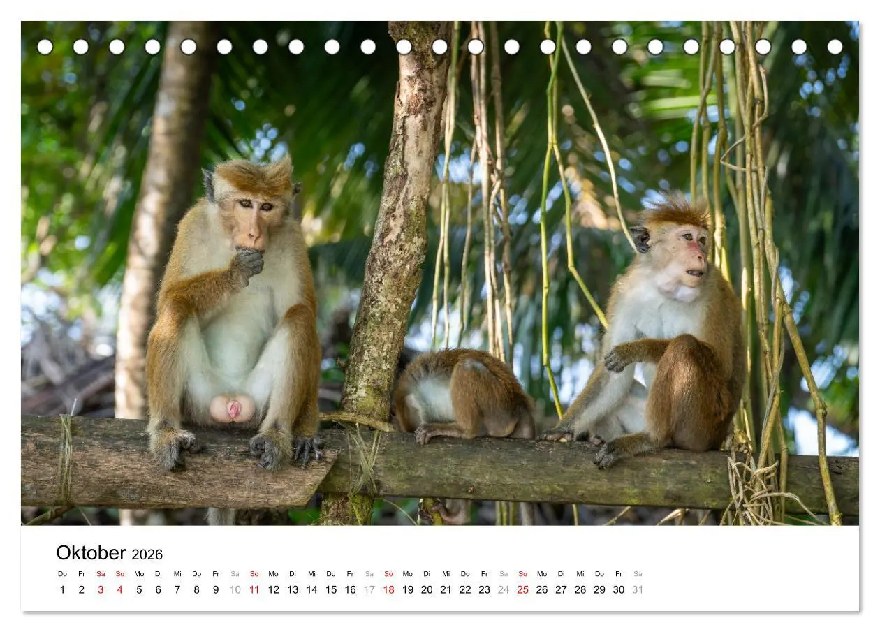 Bild: 9783457356630 | Urlaub in Sri Lanka - Reise durch Asien, Kultur und Natur...