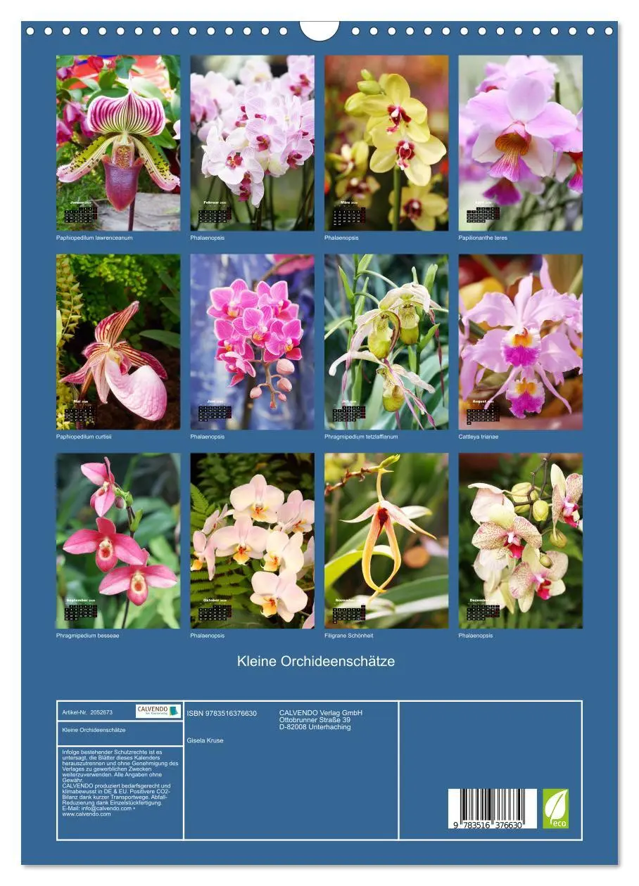 Bild: 9783516376630 | Kleine Orchideenschätze (Wandkalender 2026 DIN A3 hoch), CALVENDO...