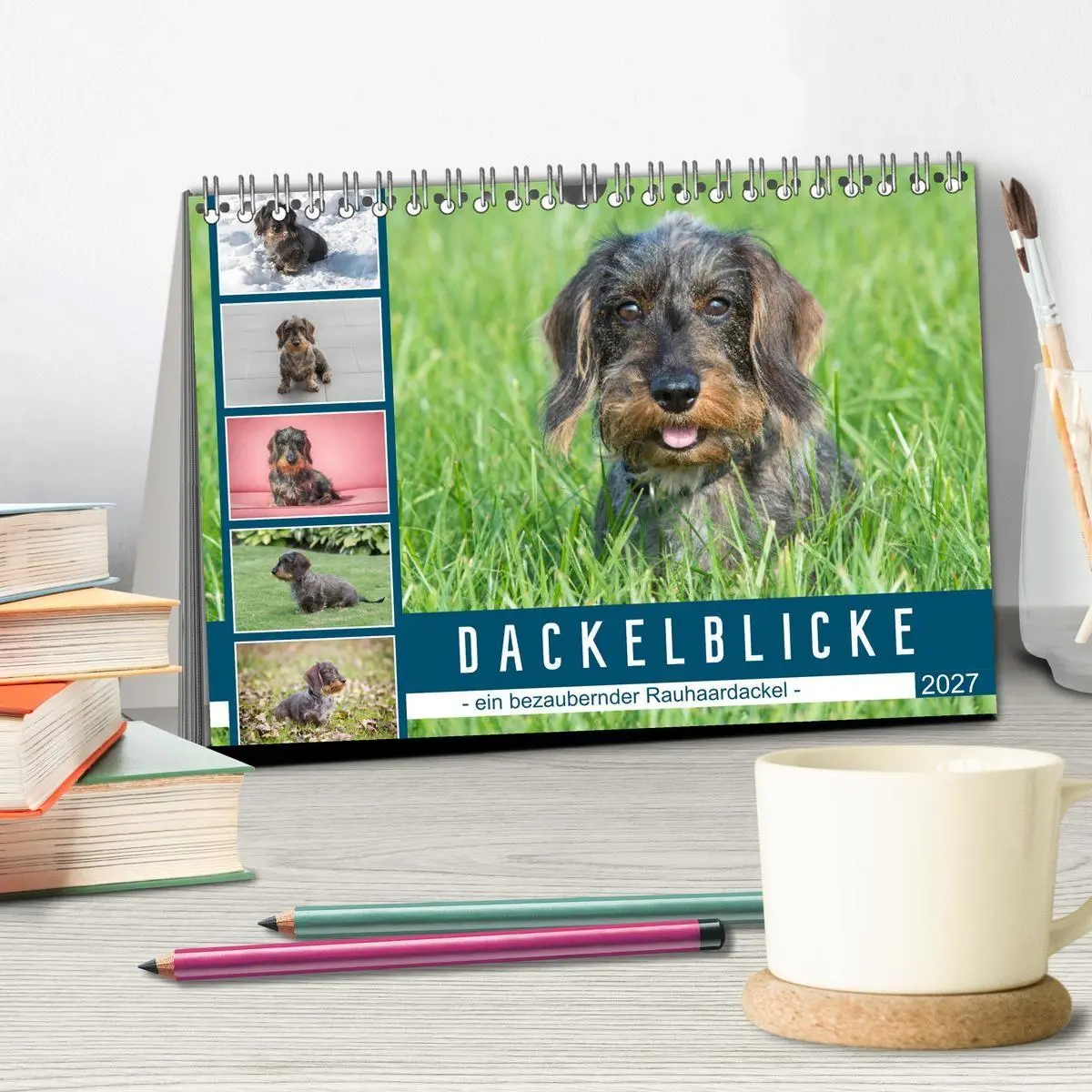 Bild: 9783569536630 | Dackelblicke - ein bezaubernder Rauhaardackel (Tischkalender 2027...