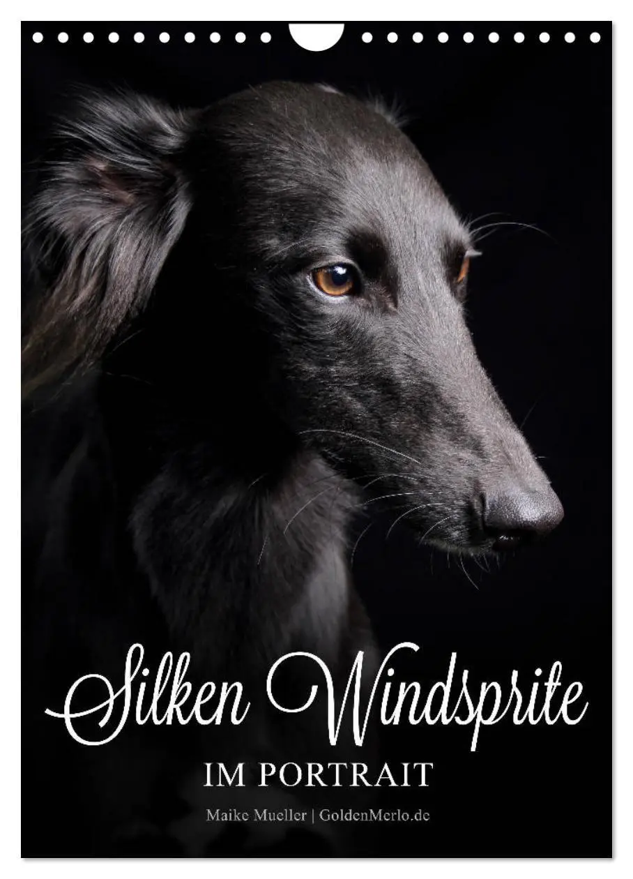 Cover: 9783569846630 | Silken Windsprite im Portrait (Wandkalender 2027 DIN A4 hoch),...