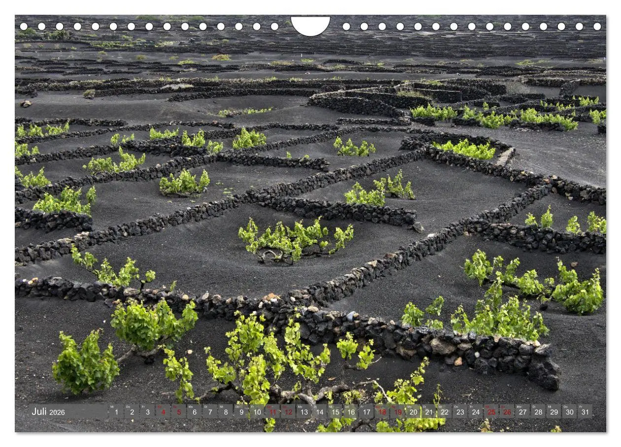 Bild: 9783457586730 | Lanzarote Aus Vulkanen geboren (Wandkalender 2026 DIN A4 quer),...