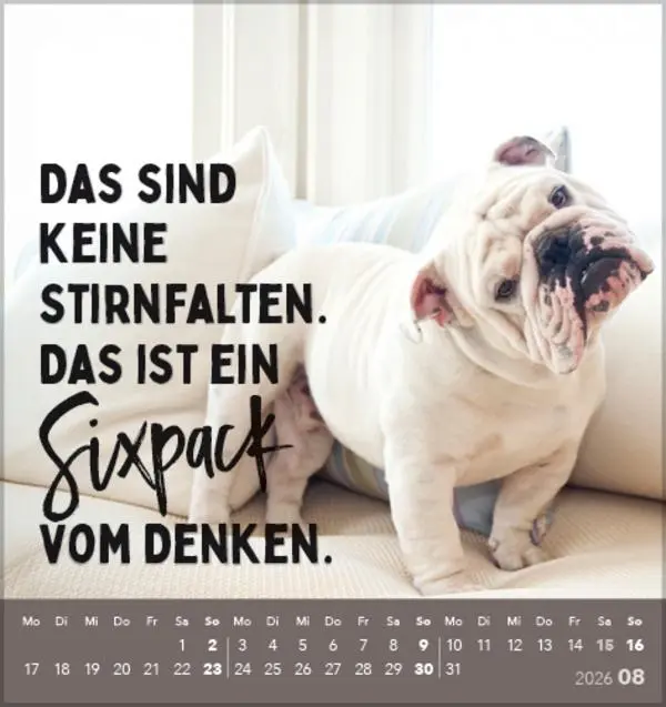 Bild: 9783731886730 | Lieber verrückt das Leben genießen 2026 | Verlag Korsch | Kalender