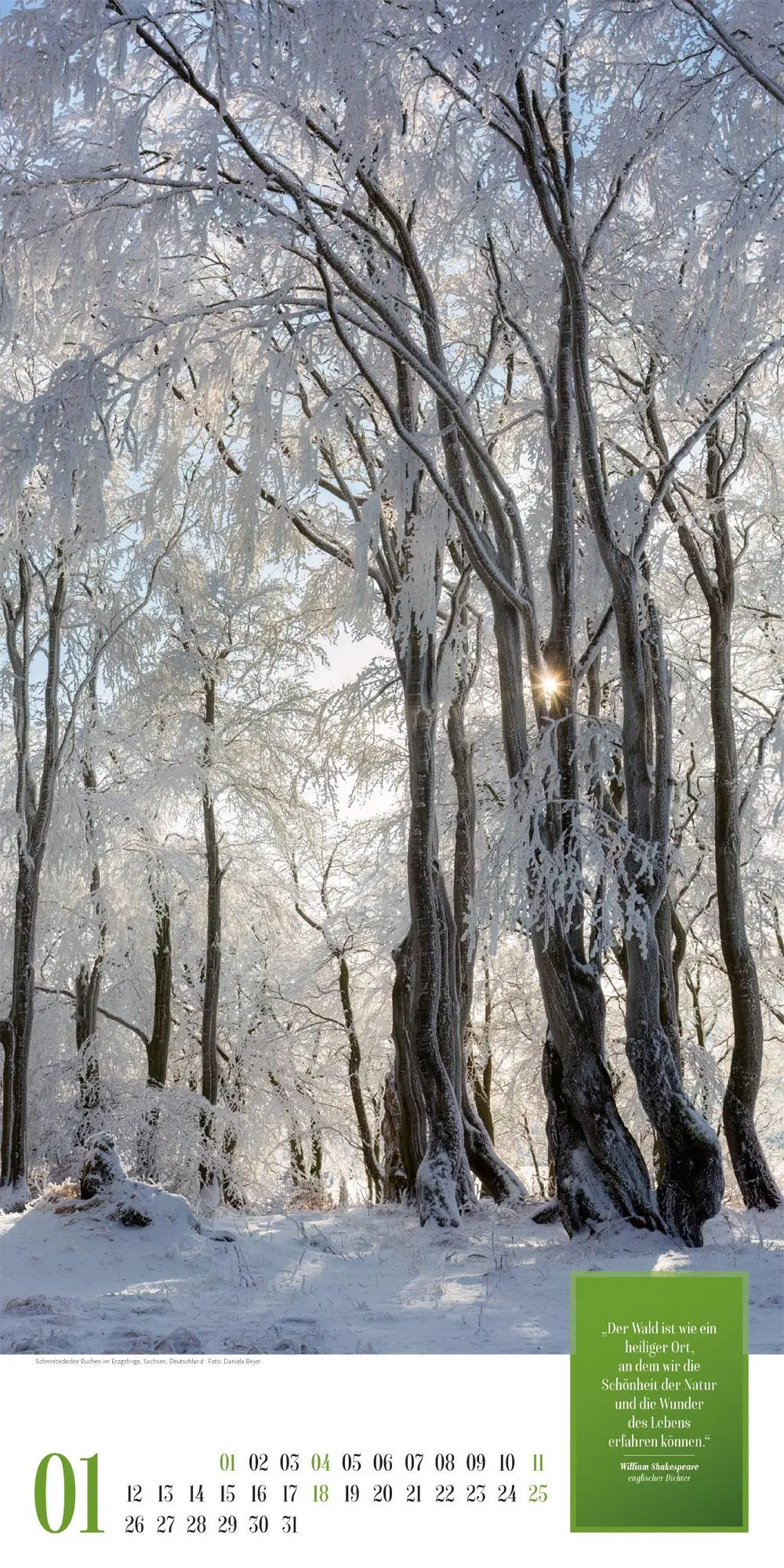 Bild: 9783838426730 | Mythos Wald Literatur-Kalender 2026 | Ackermann Kunstverlag GmbH