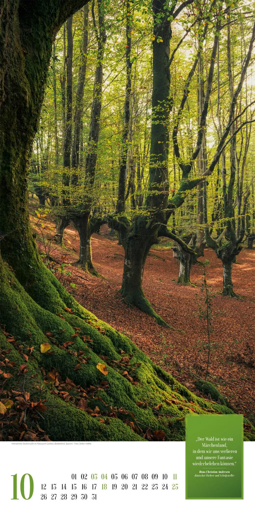 Bild: 9783838426730 | Mythos Wald Literatur-Kalender 2026 | Ackermann Kunstverlag GmbH