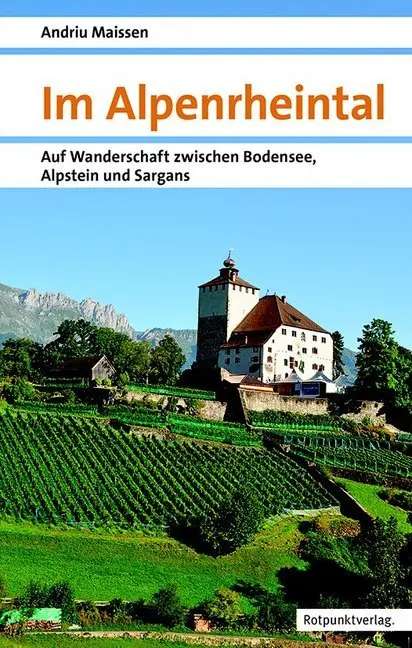 Cover: 9783858696830 | Im Alpenrheintal | Andriu Maissen | Taschenbuch | 296 S. | Deutsch