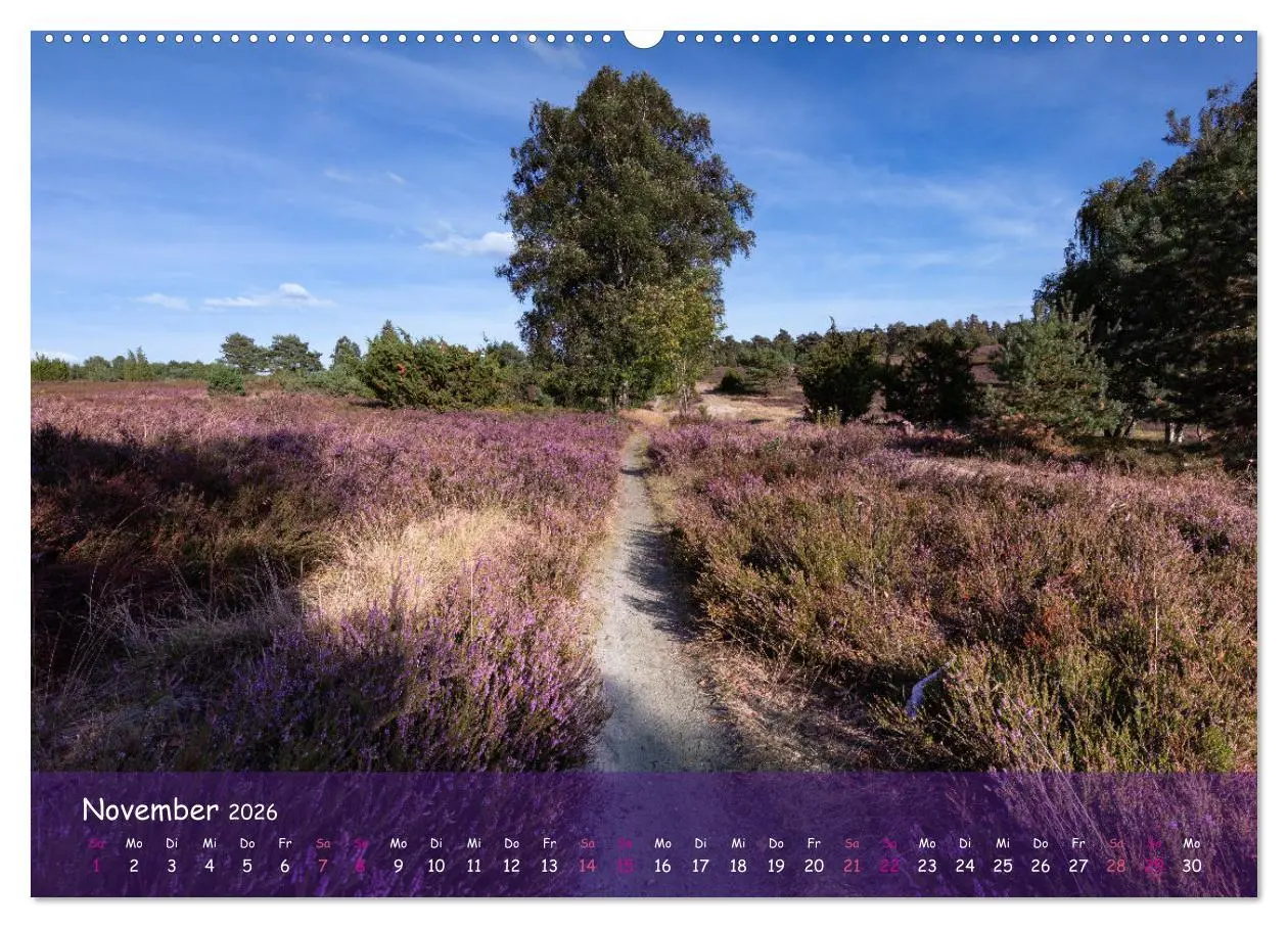 Bild: 9783457566930 | Im Herzen der Lüneburger Heide (Wandkalender 2026 DIN A2 quer),...