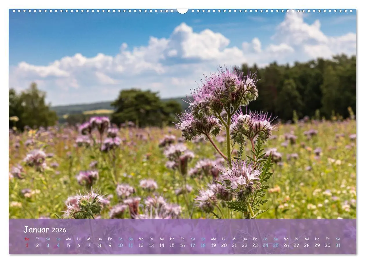 Bild: 9783457566930 | Im Herzen der Lüneburger Heide (Wandkalender 2026 DIN A2 quer),...