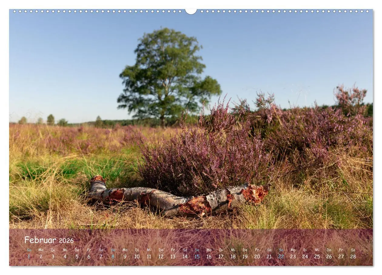 Bild: 9783457566930 | Im Herzen der Lüneburger Heide (Wandkalender 2026 DIN A2 quer),...