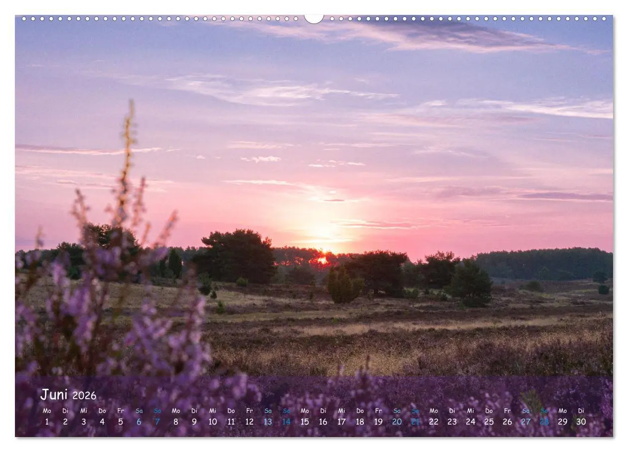 Bild: 9783457566930 | Im Herzen der Lüneburger Heide (Wandkalender 2026 DIN A2 quer),...