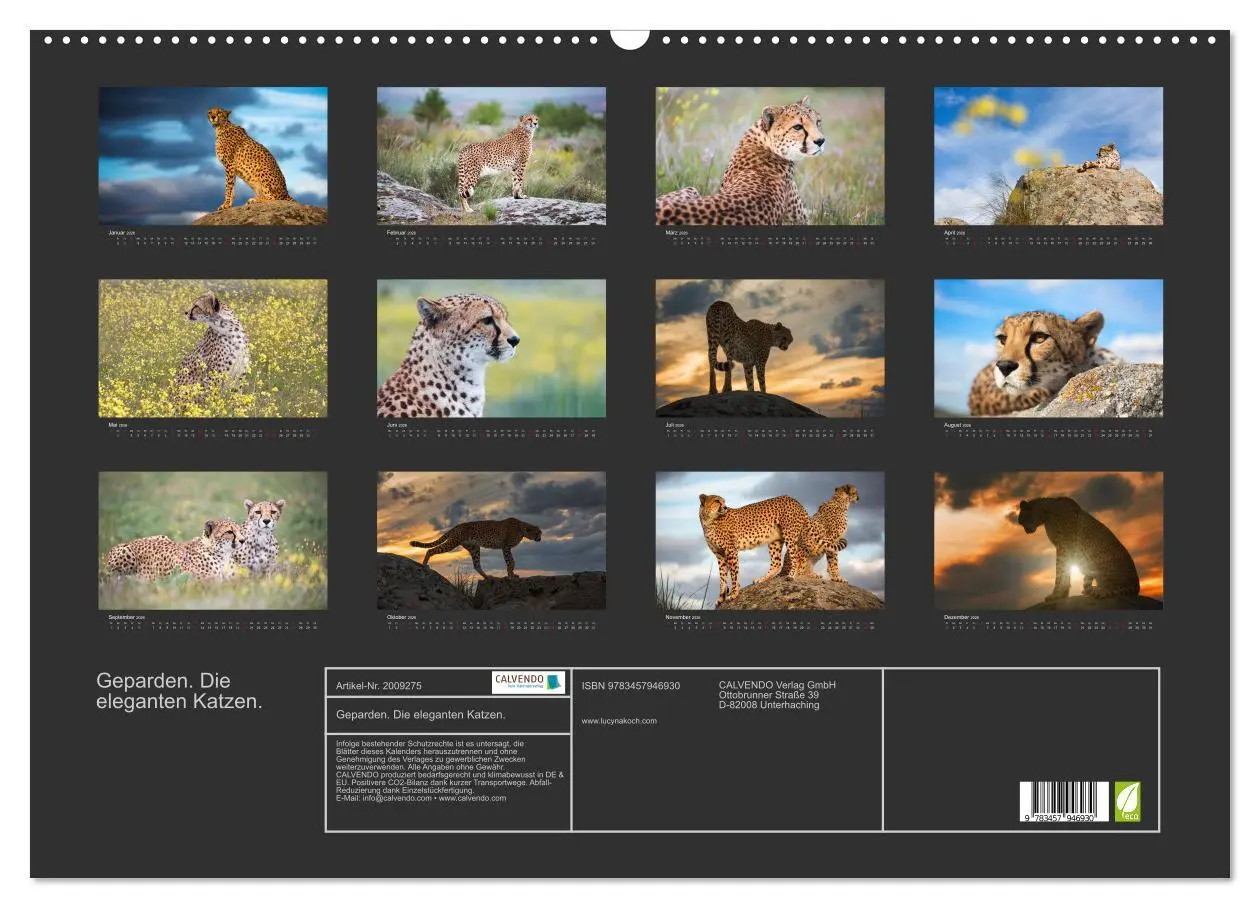 Bild: 9783457946930 | Geparden. Die eleganten Katzen. (Wandkalender 2026 DIN A2 quer),...