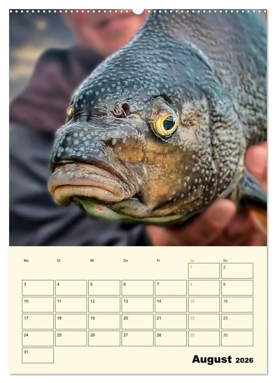 Bild: 9783516346930 | Angeln - extrem faszinierend (Wandkalender 2026 DIN A2 hoch),...