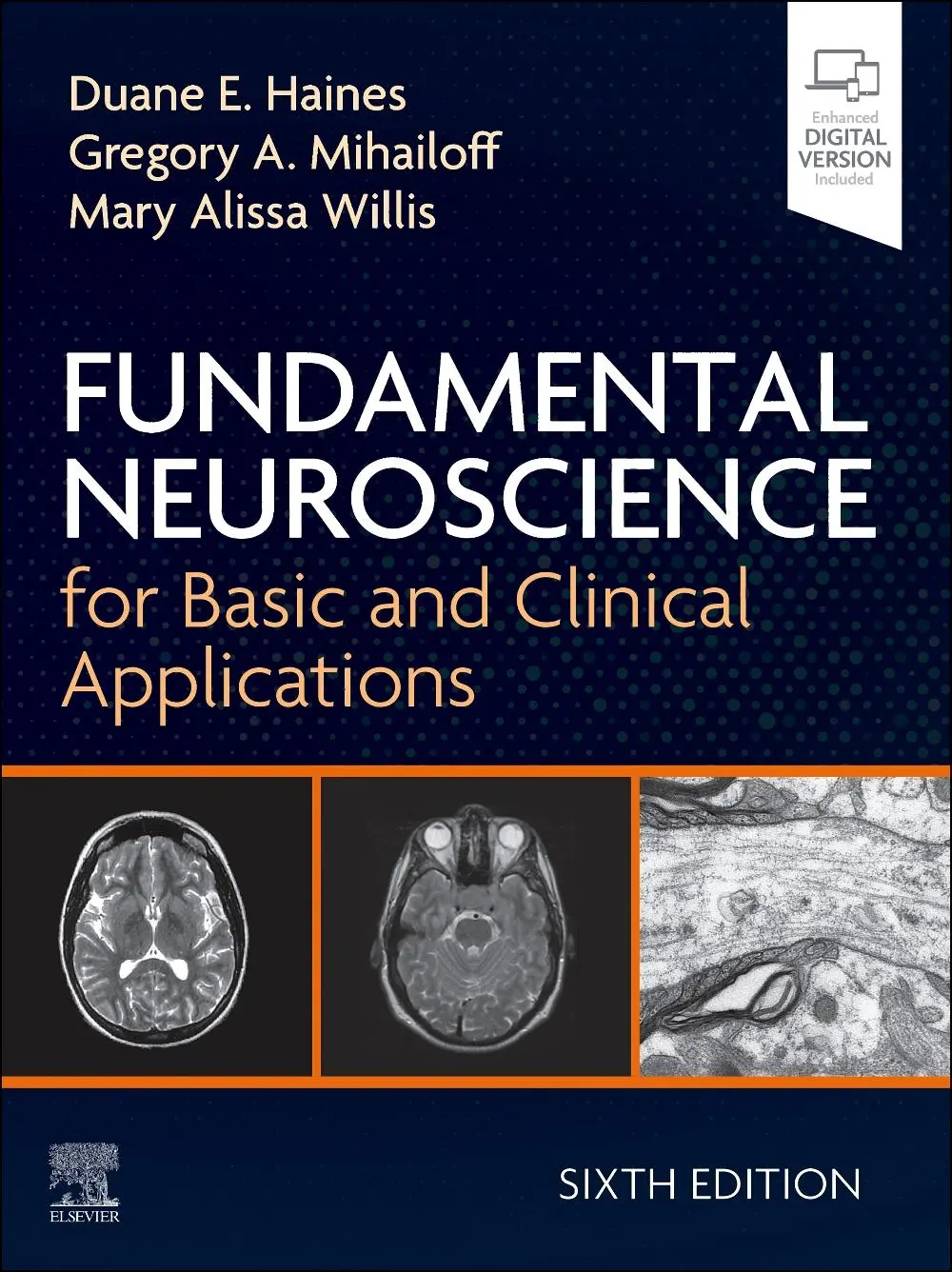 Cover: 9780443107030 | Fundamental Neuroscience for Basic and Clinical Applications | Buch