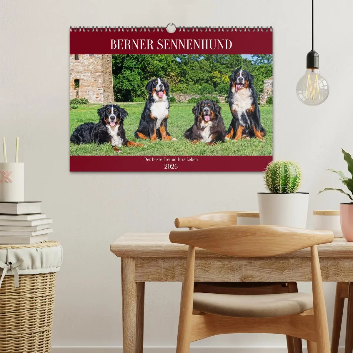 Bild: 9783457387030 | Berner Sennenhund - Der beste Freund fürs Leben (Wandkalender 2026...
