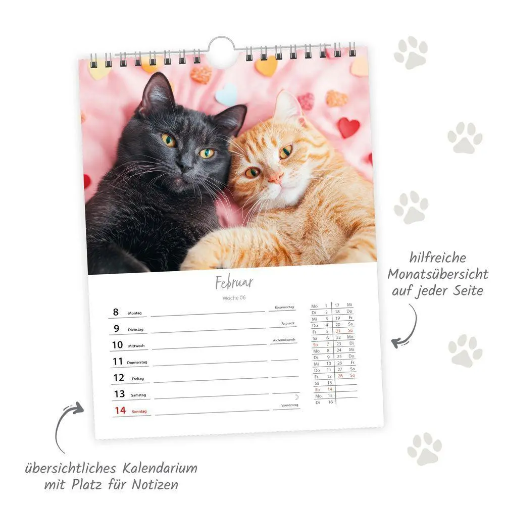 Bild: 9783988027030 | TRÖTSCH - Wochenkalender zum Hängen Katzen 2027 | Wandkalender | KG