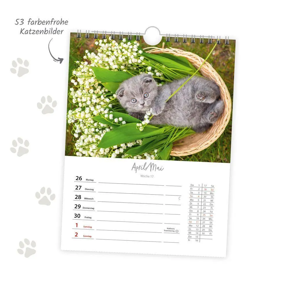 Bild: 9783988027030 | TRÖTSCH - Wochenkalender zum Hängen Katzen 2027 | Wandkalender | KG