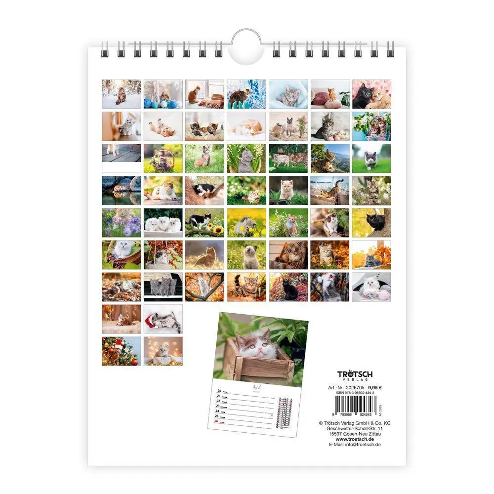 Bild: 9783988027030 | TRÖTSCH - Wochenkalender zum Hängen Katzen 2027 | Wandkalender | KG