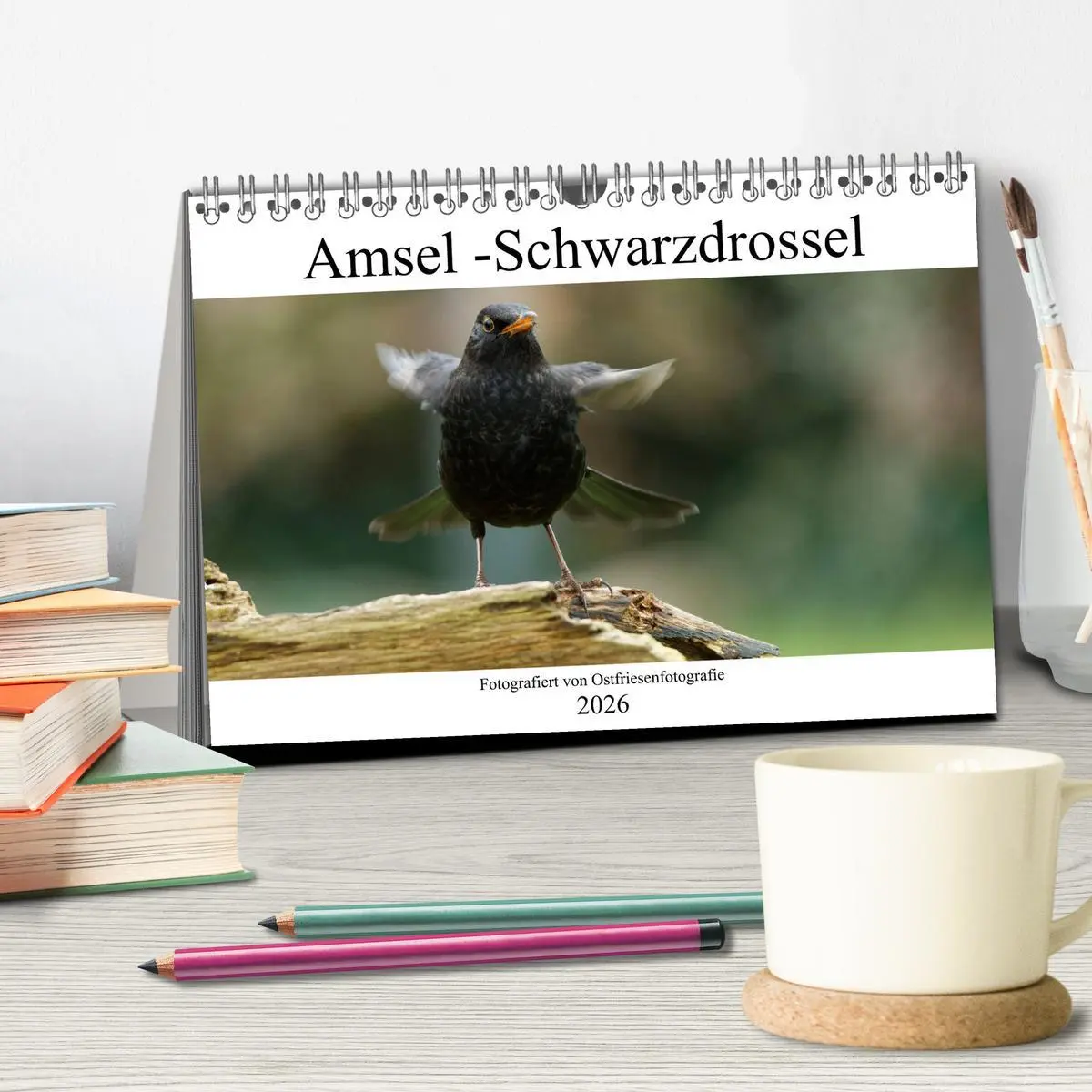 Bild: 9783457447130 | Amsel - Schwarzdrossel fotografiert von Ostfriesenfotografie...