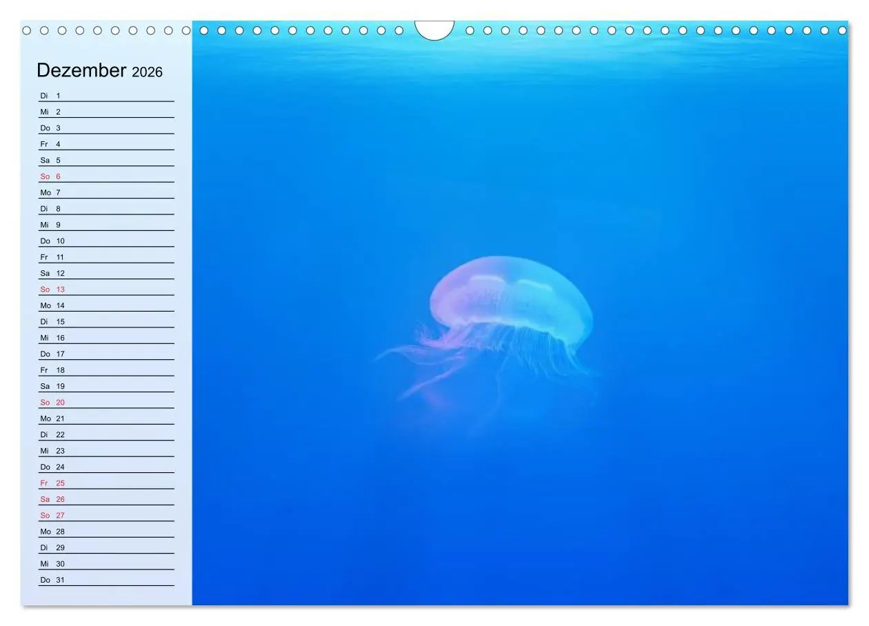 Bild: 9783457997130 | Quallen. Die Welt der Medusen (Wandkalender 2026 DIN A3 quer),...