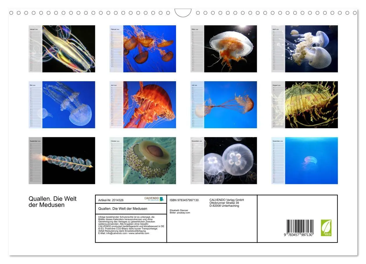 Bild: 9783457997130 | Quallen. Die Welt der Medusen (Wandkalender 2026 DIN A3 quer),...