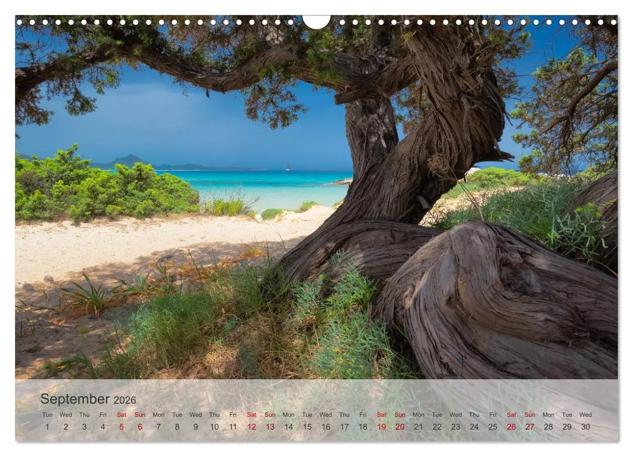 Bild: 9783516537130 | Wonderful Sardinia (Wall Calendar 2026 DIN A3 landscape), CALVENDO...
