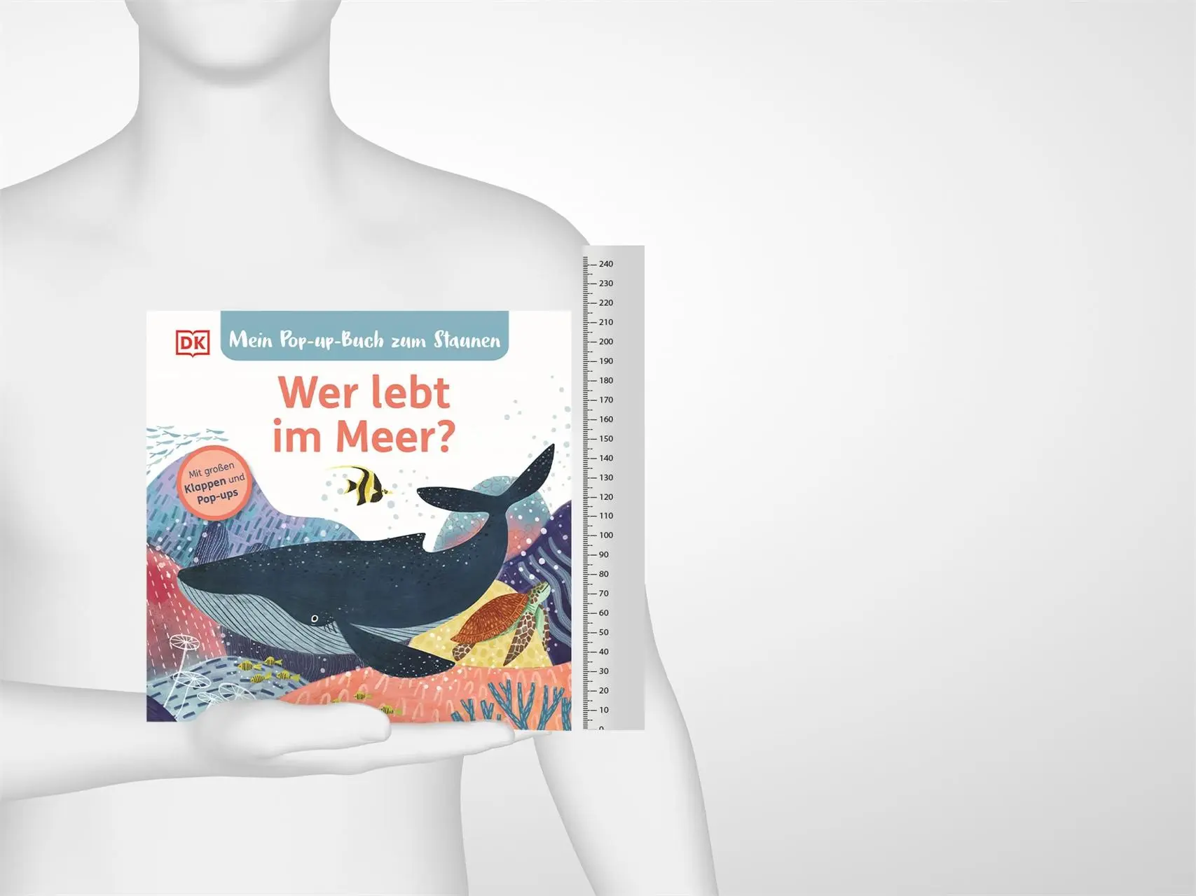 Bild: 9783831047130 | Mein Pop-up-Buch zum Staunen. Wer lebt im Meer? | Sandra Grimm | Buch
