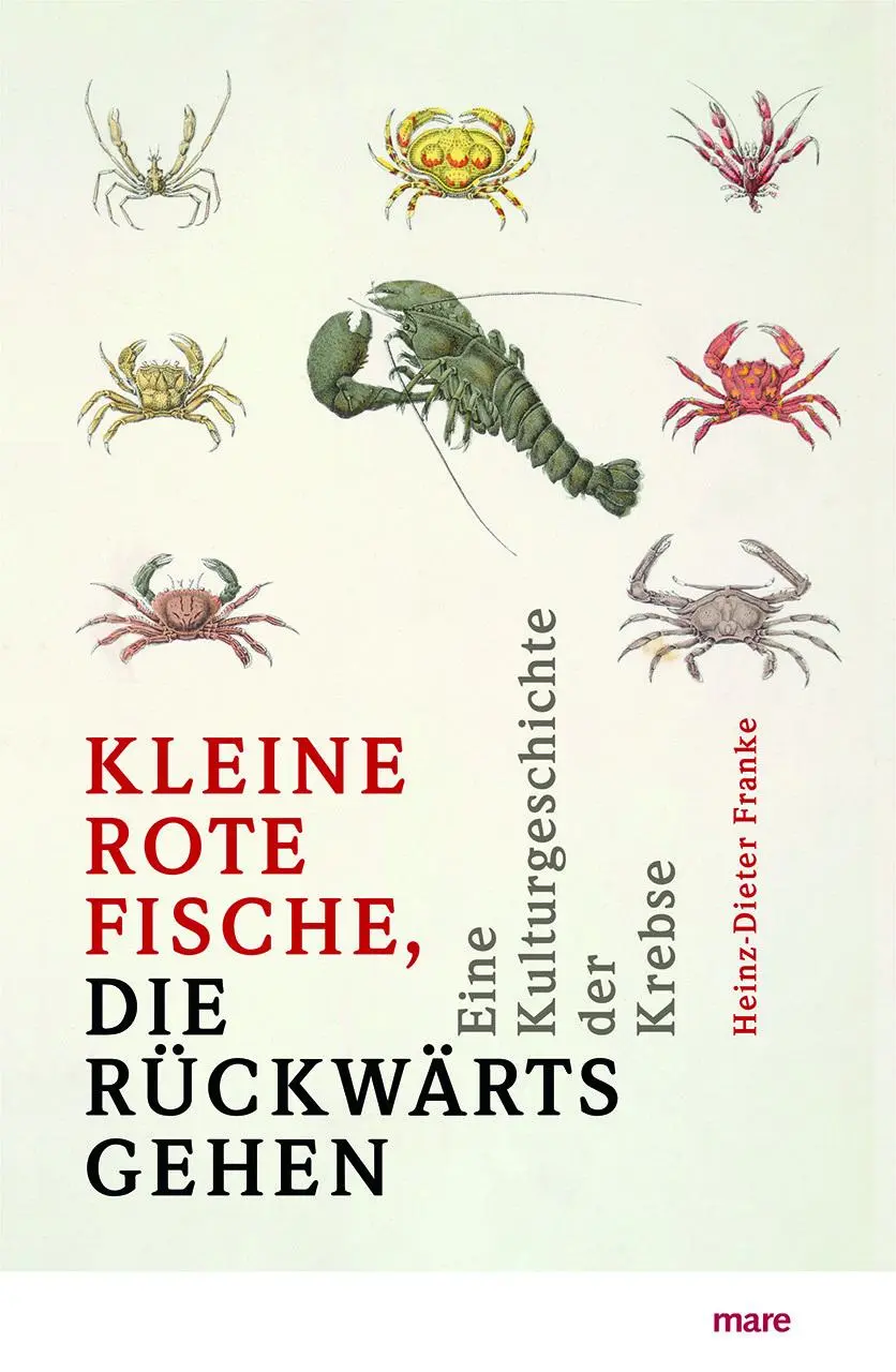 Cover: 9783866487130 | 'Kleine rote Fische, die rückwärtsgehen' | Heinz-Dieter Franke | Buch