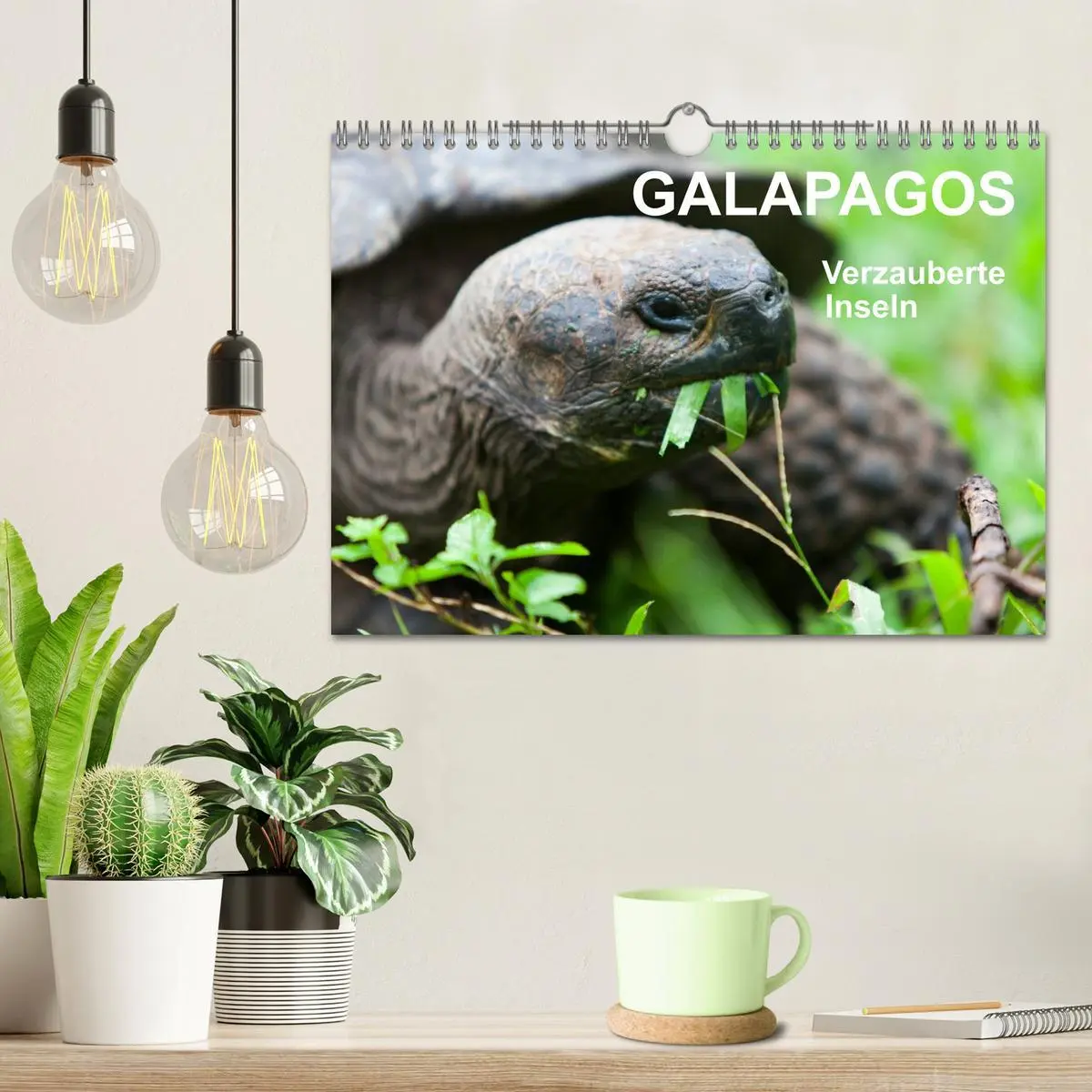 Bild: 9783516077230 | Galapagos. Verzauberte Inseln (Wandkalender 2026 DIN A4 quer),...