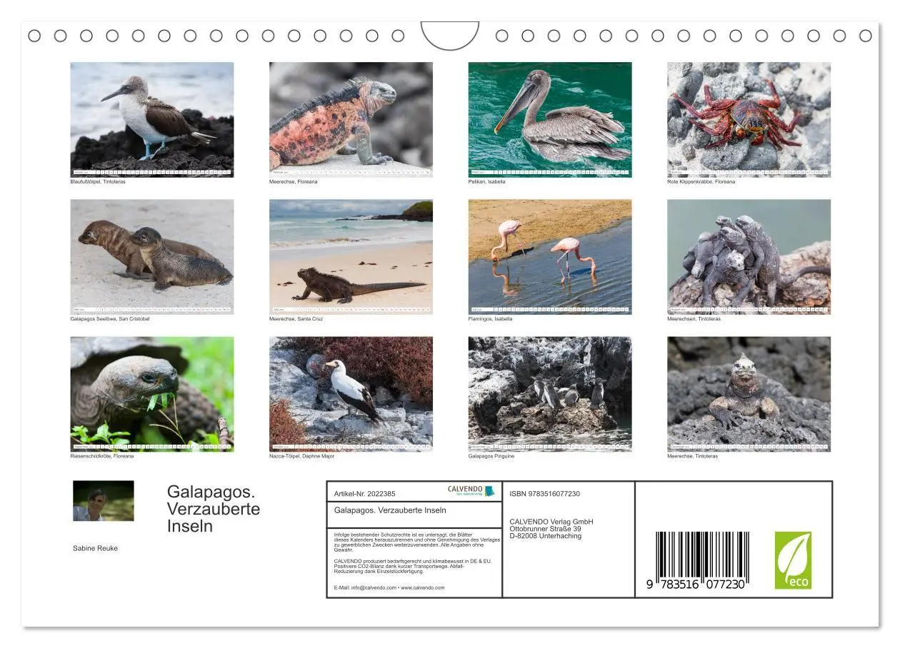 Bild: 9783516077230 | Galapagos. Verzauberte Inseln (Wandkalender 2026 DIN A4 quer),...