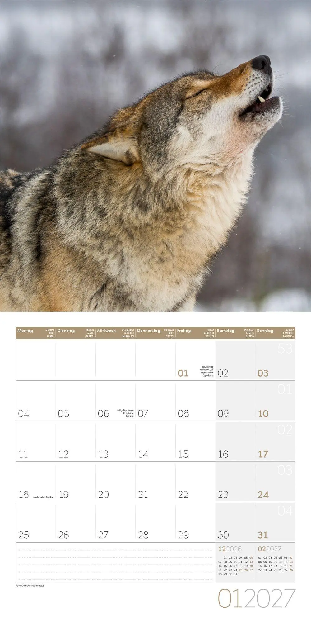 Bild: 9783838447230 | Wölfe Kalender 2027 - 30x30 - Art12 | Ackermann Kunstverlag GmbH