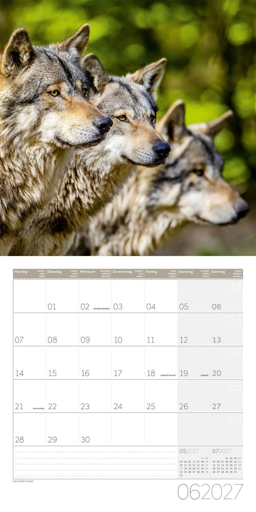 Bild: 9783838447230 | Wölfe Kalender 2027 - 30x30 - Art12 | Ackermann Kunstverlag GmbH