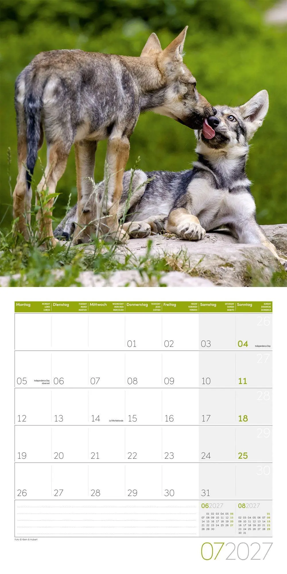 Bild: 9783838447230 | Wölfe Kalender 2027 - 30x30 - Art12 | Ackermann Kunstverlag GmbH