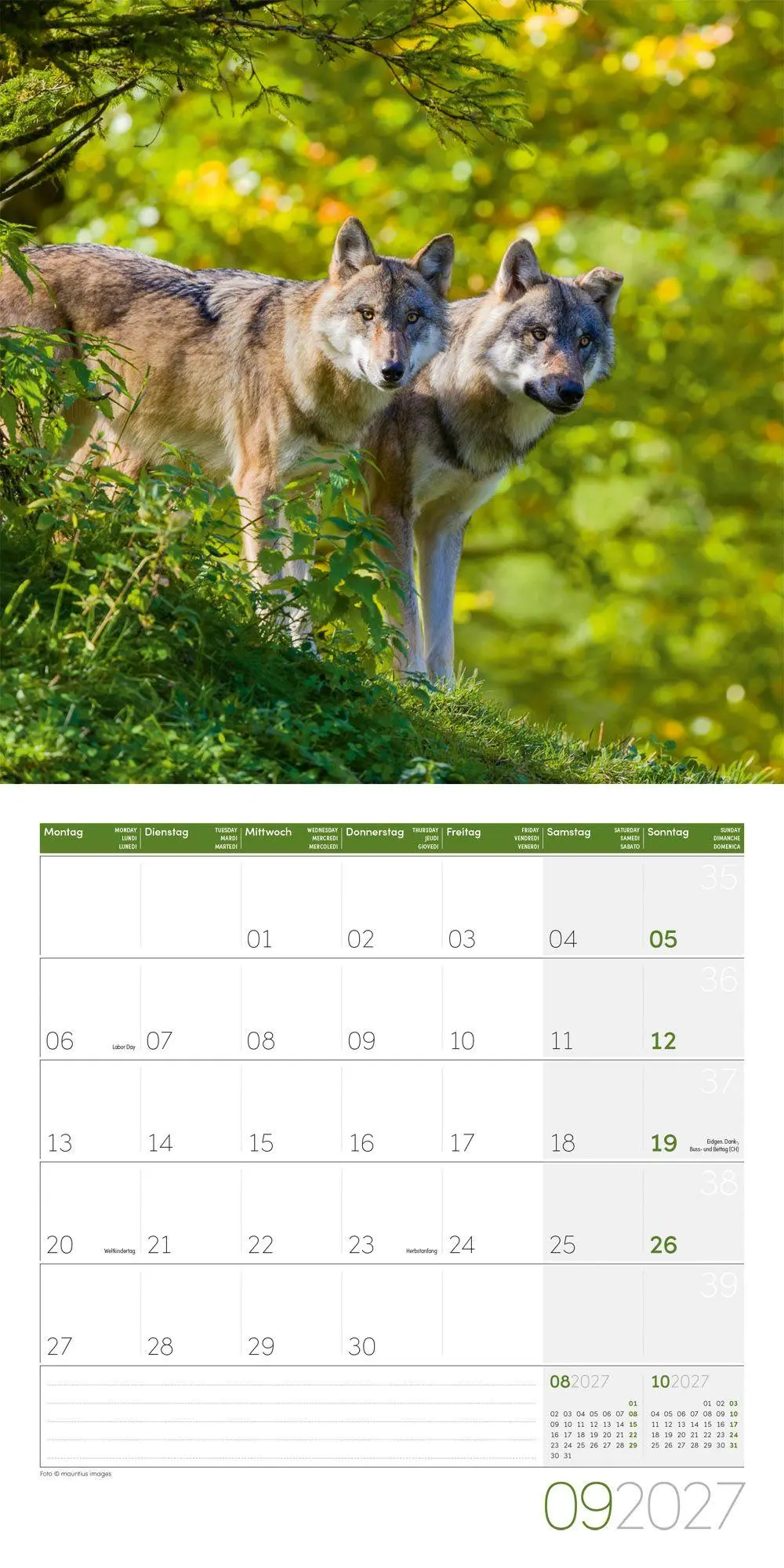 Bild: 9783838447230 | Wölfe Kalender 2027 - 30x30 - Art12 | Ackermann Kunstverlag GmbH