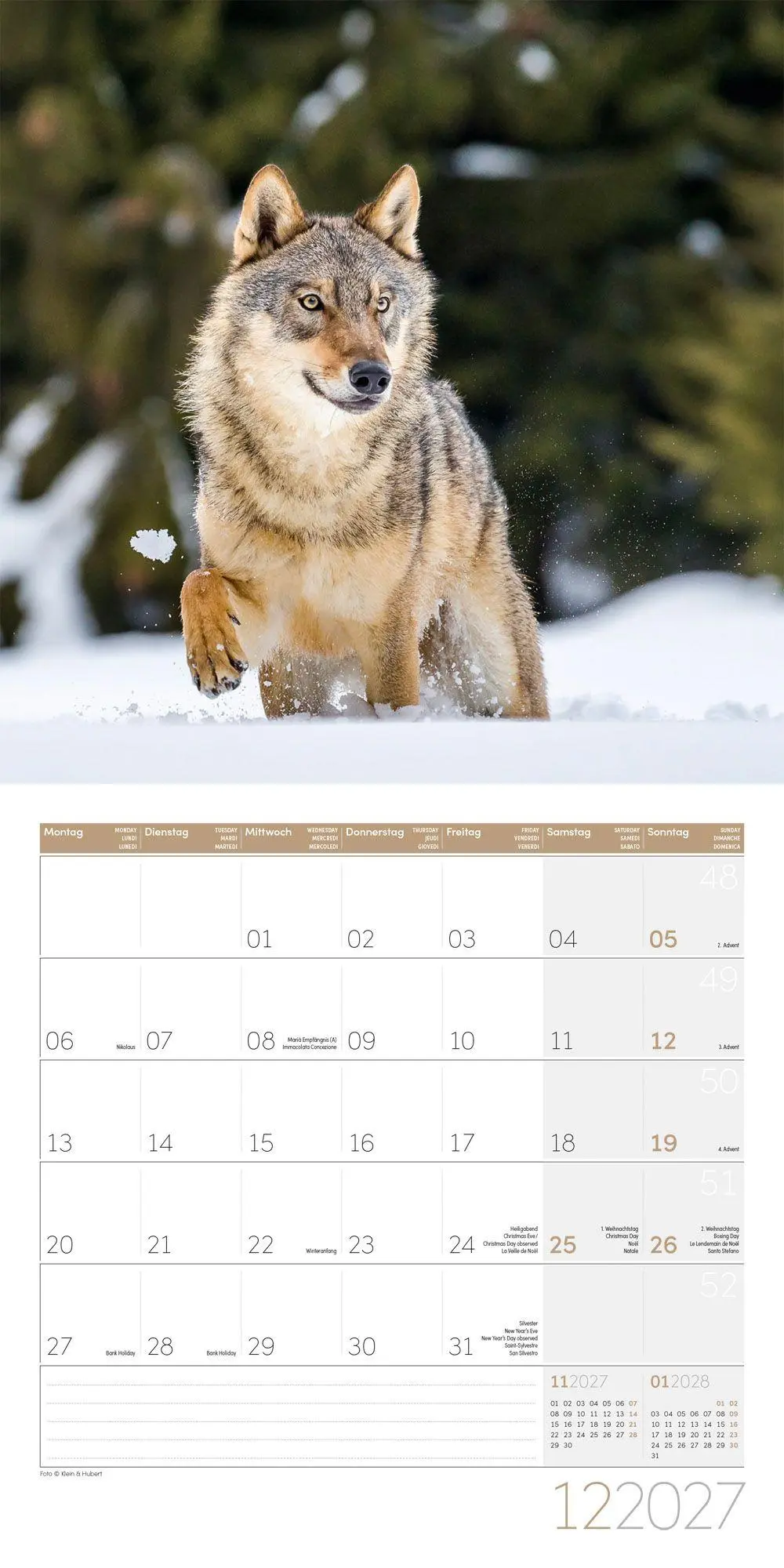 Bild: 9783838447230 | Wölfe Kalender 2027 - 30x30 - Art12 | Ackermann Kunstverlag GmbH