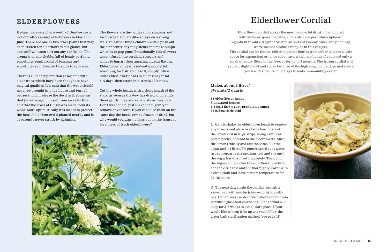 Bild: 9781911657330 | The Hedgerow Cookbook: Delicious Recipes for Foraged Food | Willson