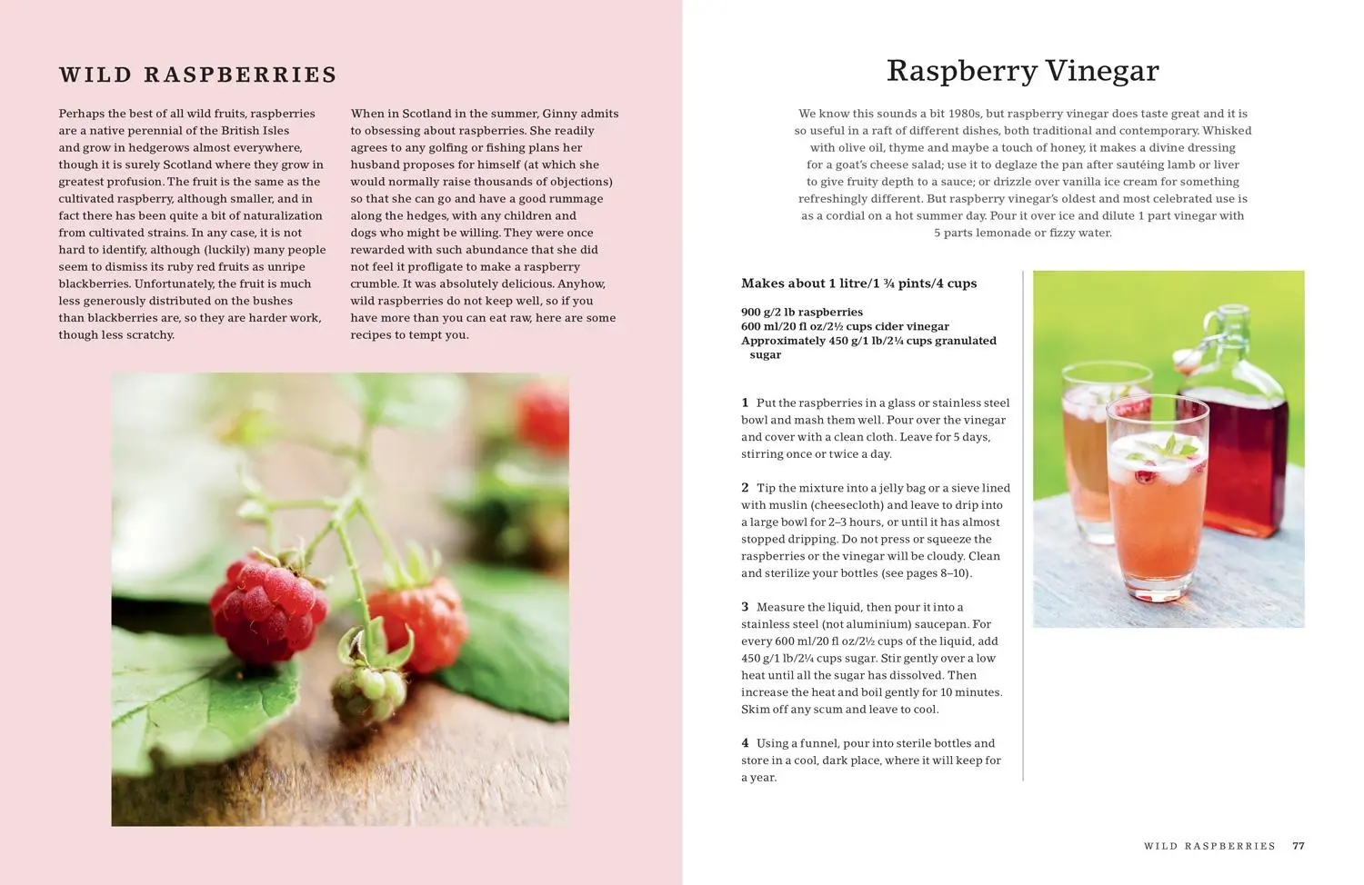 Bild: 9781911657330 | The Hedgerow Cookbook: Delicious Recipes for Foraged Food | Willson