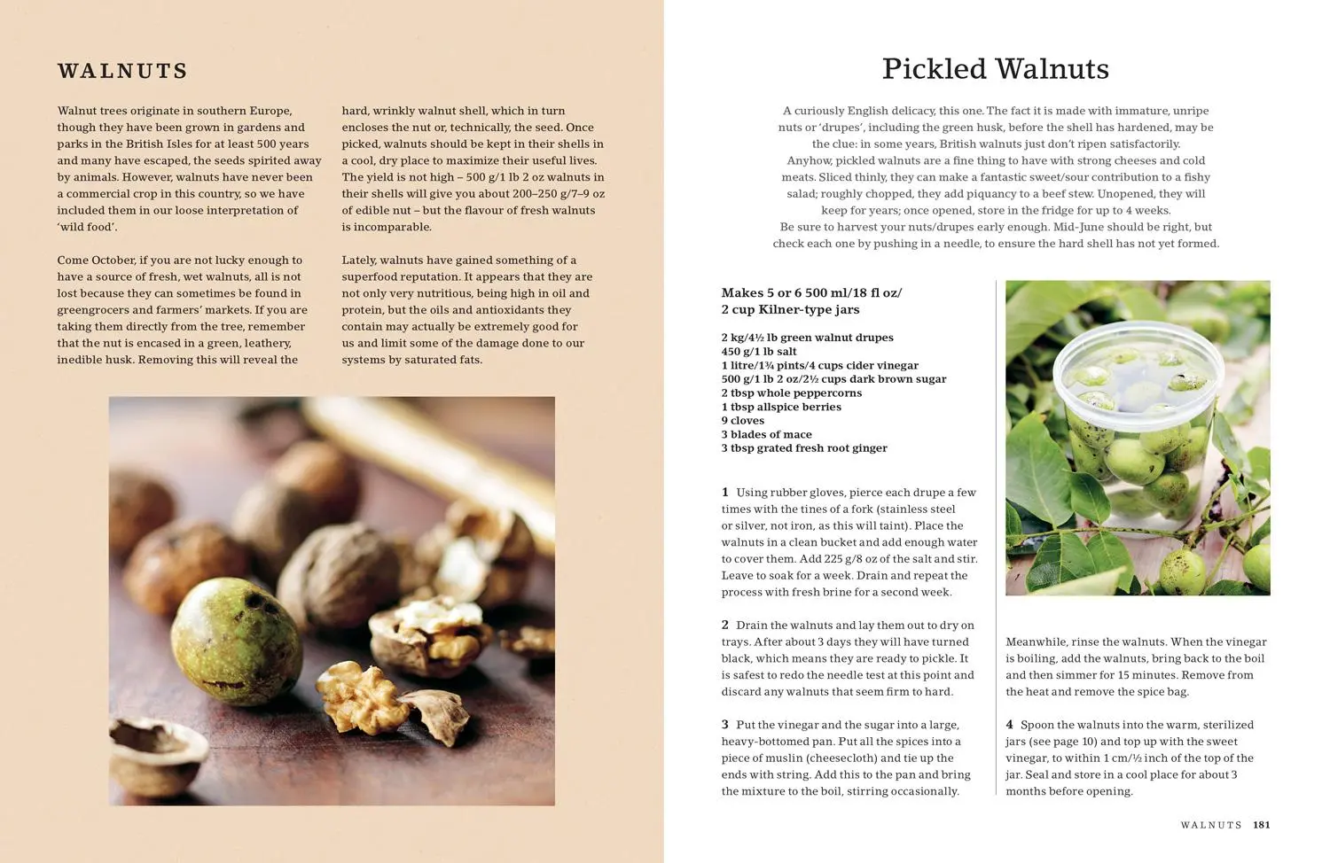 Bild: 9781911657330 | The Hedgerow Cookbook: Delicious Recipes for Foraged Food | Willson
