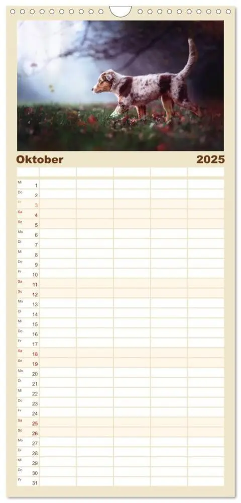 Bild: 9783457117330 | Familienplaner 2025 - Hundeseele mit 5 Spalten (Wandkalender, 21 x...