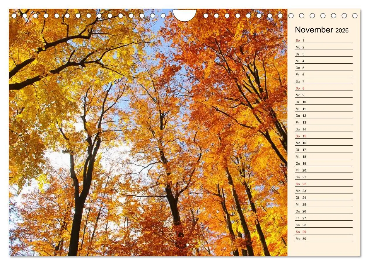 Bild: 9783457977330 | Riesengebirge (Wandkalender 2026 DIN A4 quer), CALVENDO Monatskalender