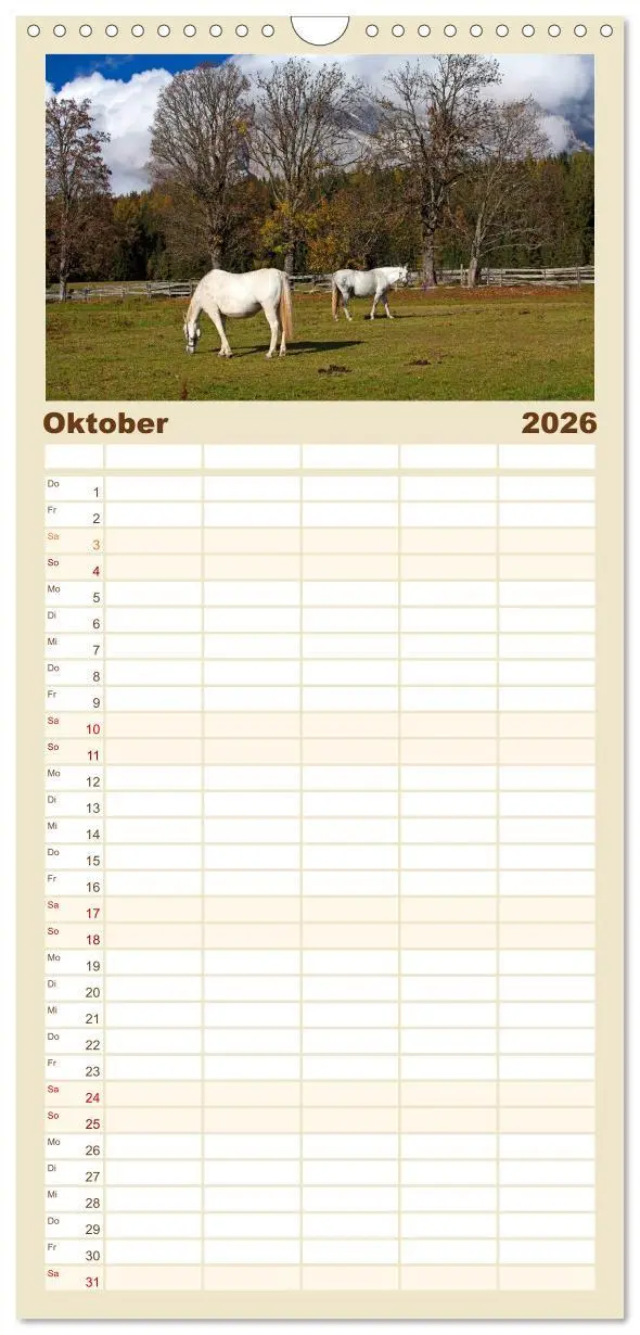 Bild: 9783516517330 | Familienplaner 2026 - Pferde und Ponys im Paradies mit 5 Spalten...