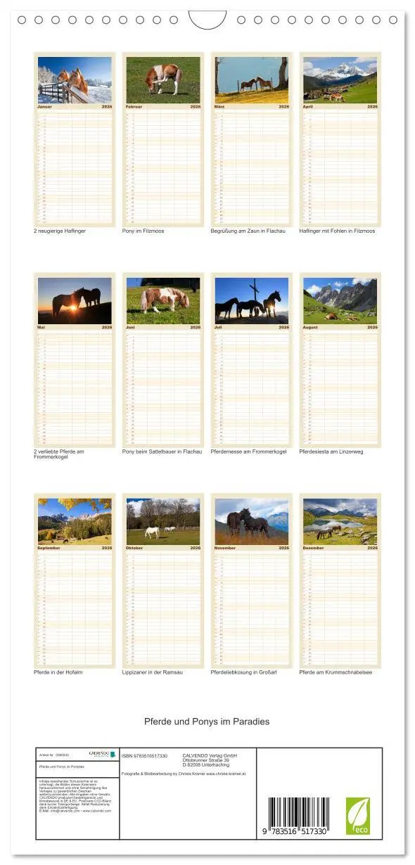 Bild: 9783516517330 | Familienplaner 2026 - Pferde und Ponys im Paradies mit 5 Spalten...
