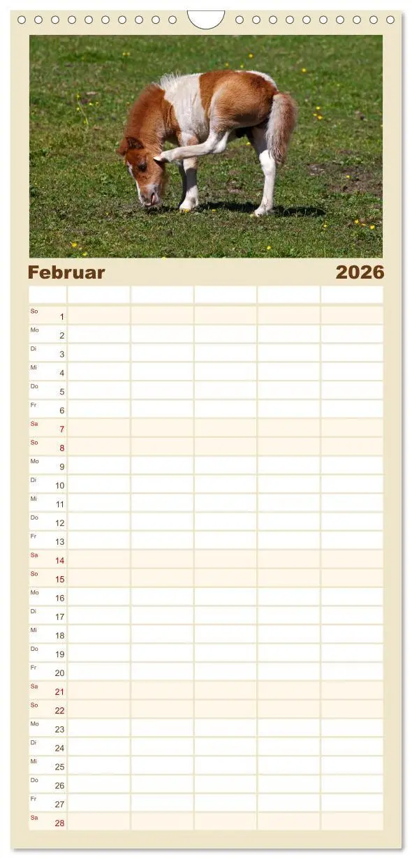 Bild: 9783516517330 | Familienplaner 2026 - Pferde und Ponys im Paradies mit 5 Spalten...