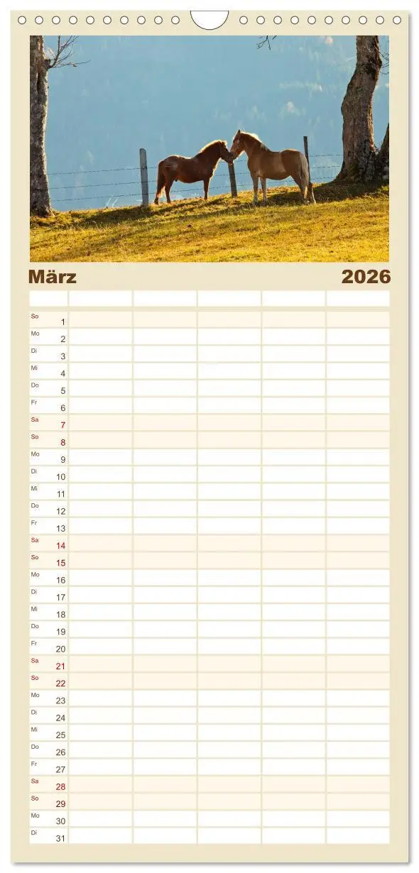 Bild: 9783516517330 | Familienplaner 2026 - Pferde und Ponys im Paradies mit 5 Spalten...