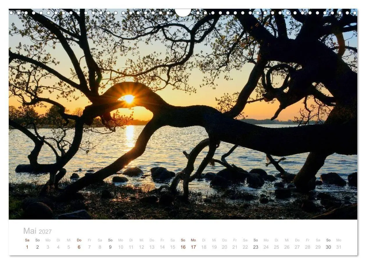 Bild: 9783594047330 | Zauberhafte Schlei (Wandkalender 2027 DIN A3 quer), CALVENDO...