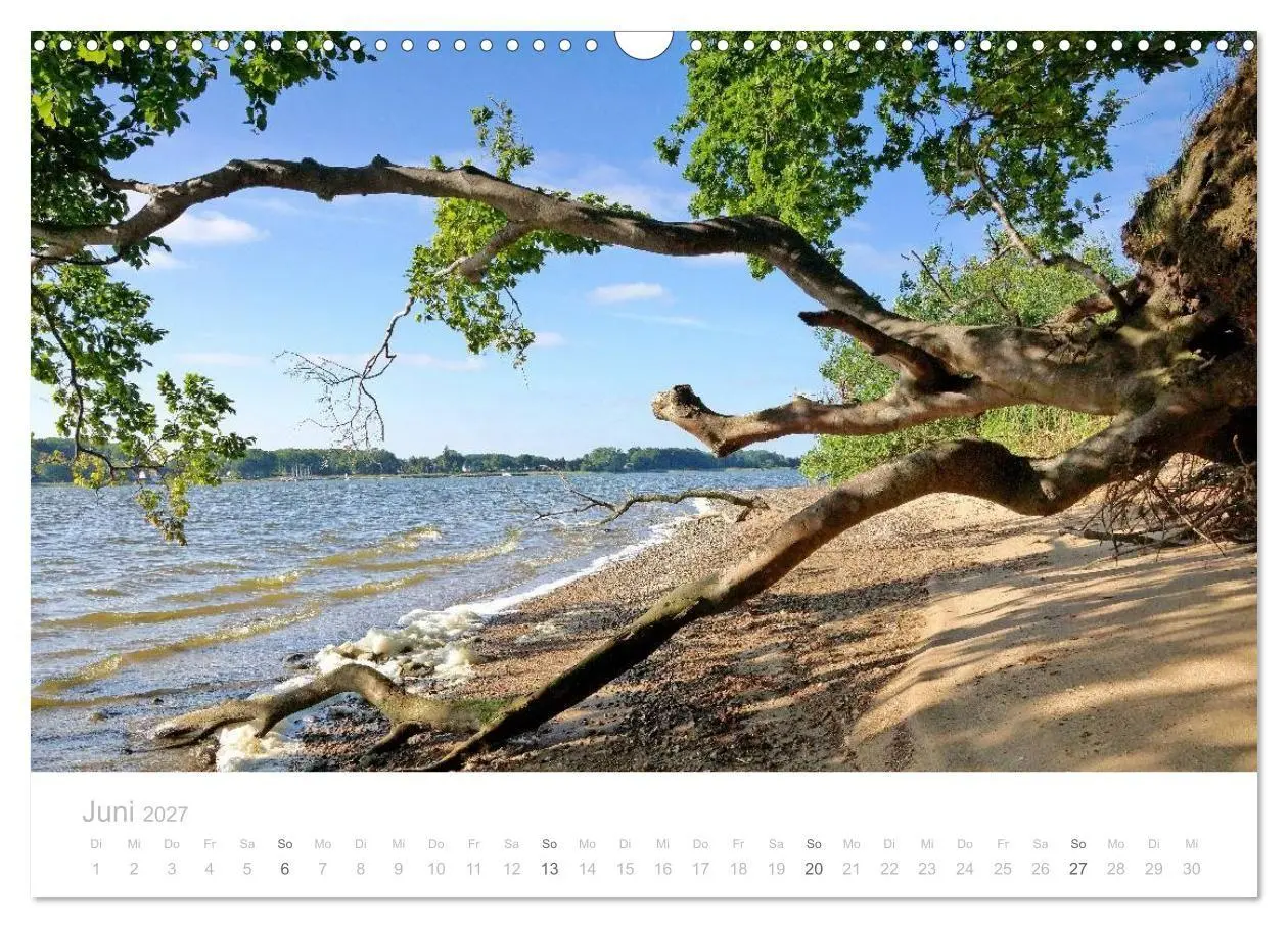 Bild: 9783594047330 | Zauberhafte Schlei (Wandkalender 2027 DIN A3 quer), CALVENDO...